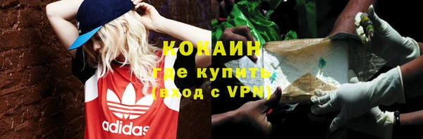 гашик Инсар