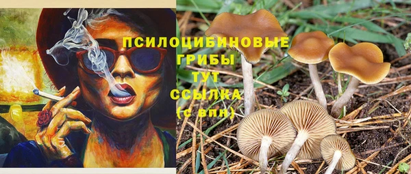соль курить ск Инта