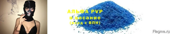 гашик Инсар