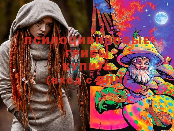гидра Иннополис