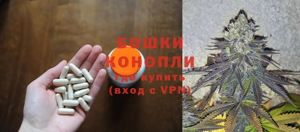 гашик Инсар