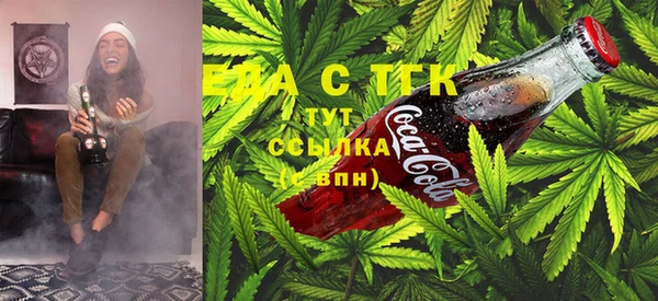 гашик Инсар