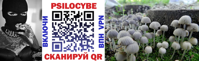 Псилоцибиновые грибы мицелий  Купить  Зеленоградск 